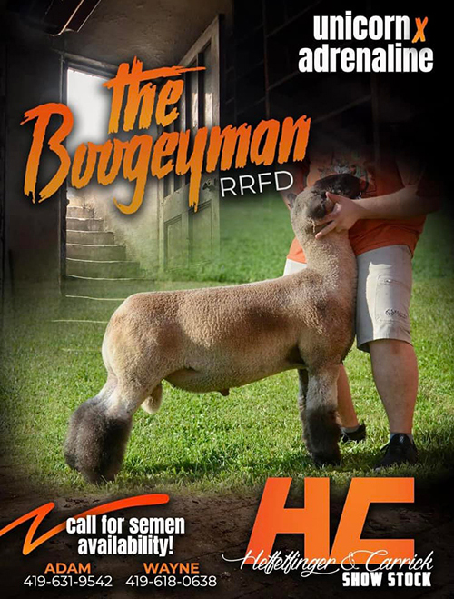 The Boogeyman
