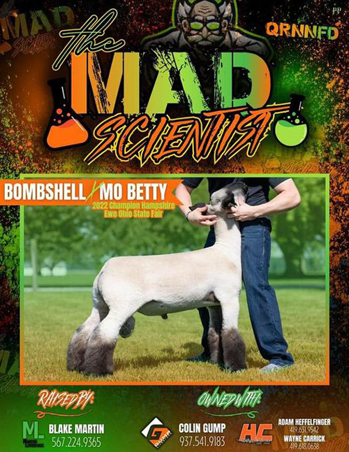 The Mas Scientist
